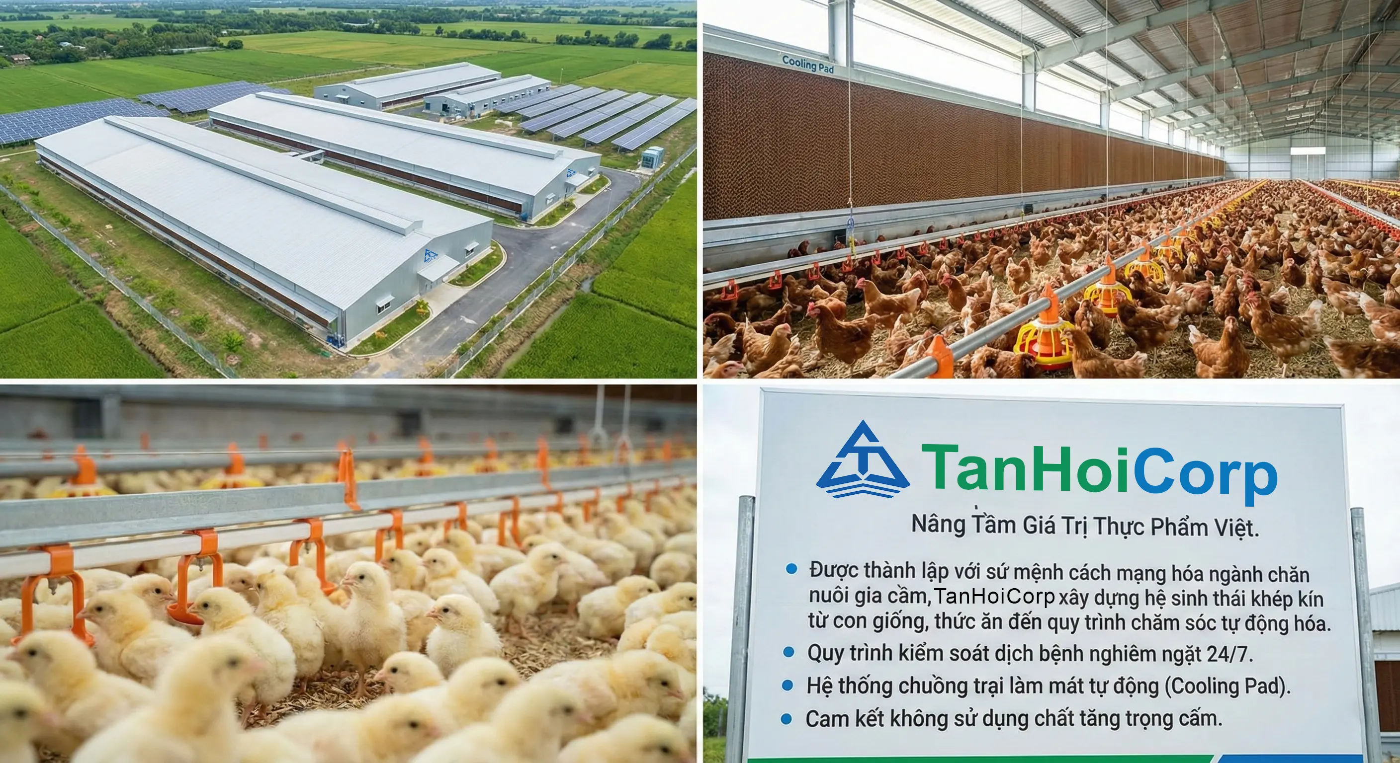 Trang trại hiện đại